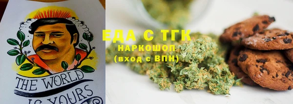 МДПВ Бородино