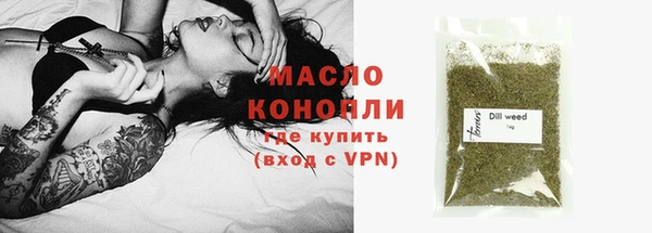 МДПВ Бородино