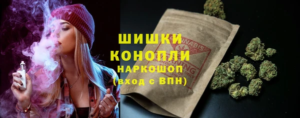 МДПВ Бородино