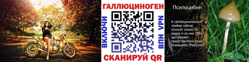 МЕГА ONION  Верхняя Пышма  Галлюциногенные грибы Magic Shrooms 