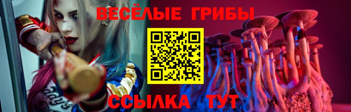 Галлюциногенные грибы Psilocybe  Псилоцибиновые грибы Cubensis  Верхняя Пышма  Вход с VPN 